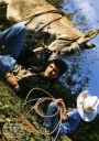 0211-vogue-04.jpg
