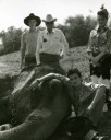 0211-vogue-08.jpg