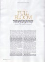0404-sundaytelegraph-03.jpg